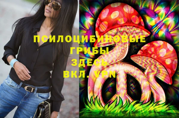 винт Алексеевка
