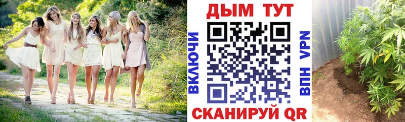 ОМГ ОМГ как зайти Всеволожск МАРИХУАНА тримм